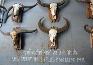 Do as we say, not as we do