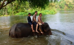 Well, somebody's gotta wash this elephant