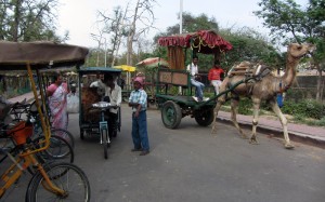 Many modes of transportation