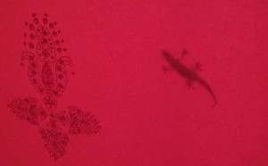 Shadowy gecko
