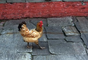 4-24-12 Best foot forward