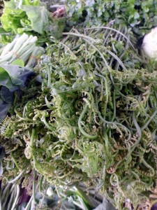 Forest ferns, so tasty stir fried