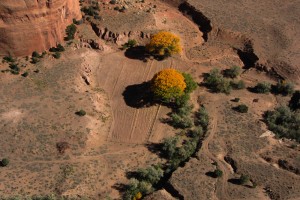 10-25-12 Fenced Wisconsin
