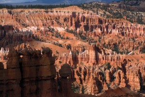 Field of hoodoos