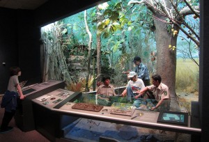 Costa Rica exhibit