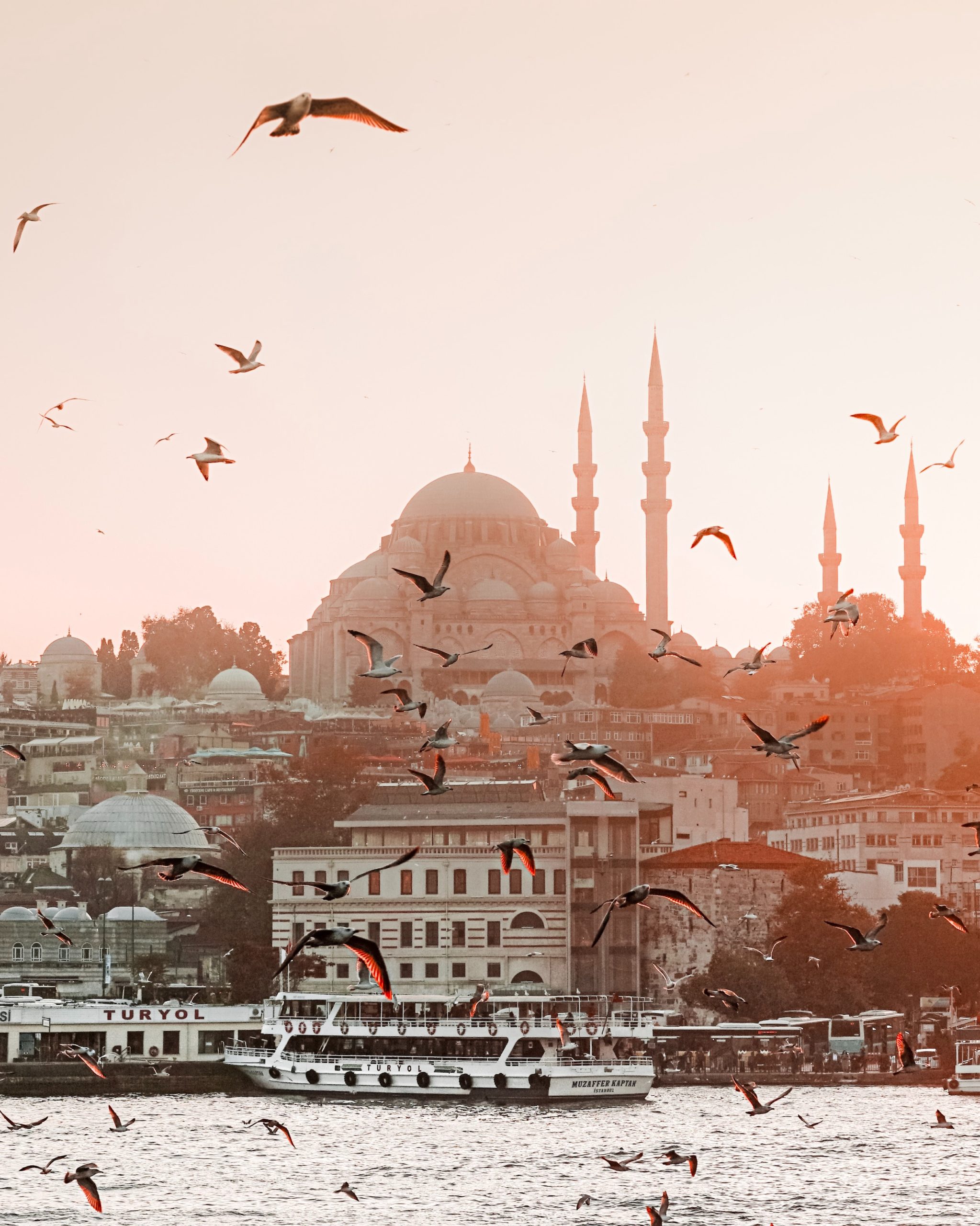 pexels-caner-cankisi-3999943